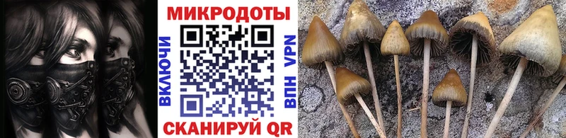 площадка телеграм  Покачи  Псилоцибиновые грибы MAGIC MUSHROOMS 